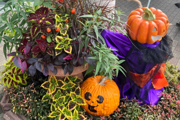 くずはモール主催「くずは 秋の芸術祭」ハロウィンディスプレイ